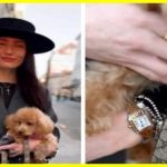 Похвалилася модним прикидом, та була звільнена за годину