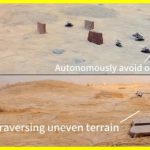 Scientists have tested an army of cyborg cockroaches