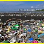 The biggest polluters of the environment with plastic