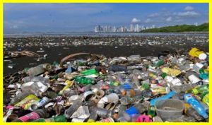 The biggest polluters of the environment with plastic