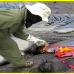 Lava samples from an active volcano