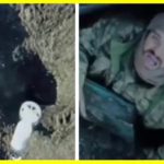 Russia uses banned chemical weapons in Ukraine