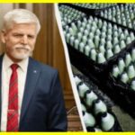 Перші 180 тисяч артилерійських снарядів, придбаних Чехією для України, прибудуть у червні, заявив Петр Павел 