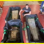 Archaeologists have found a cargo that sank 800 years ago