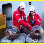 The remains of an ancient ship have been found near Israel. This is the oldest maritime find in the history of archaeology. The ship is about 3,300 years old