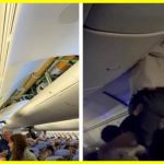 A Boeing 787 passenger is thrown onto a luggage rack during turbulence