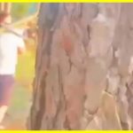 A Ukrainian man in shorts, slippers and a T-shirt shoots down a Russian cruise missile with a man-portable air defense system that was flying toward Kyiv