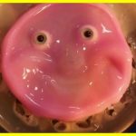 Scientists have grown living skin