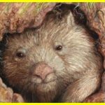 How do wombats defend themselves against predators?