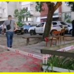 Замах на Ірину Фаріон