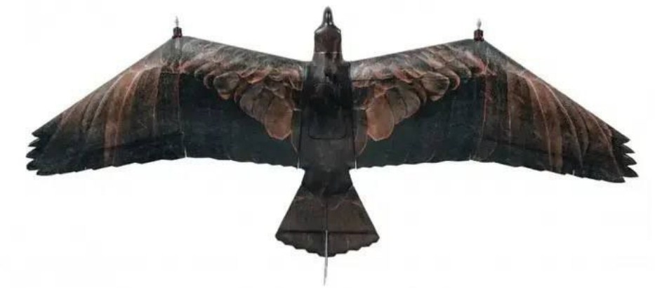 China has introduced a drone that flies like a bird. The new invention ...