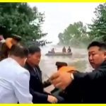 Kim Jong-un crashed headfirst into a branch