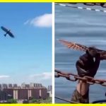 A new drone shaped like a bird