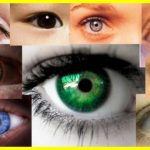 Why are gray and green shades so rare?