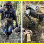 The Ukrainian military is being helped by robotic dogs