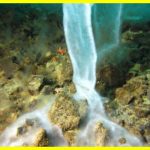 Брайнікл - одне з найдивовижніших явищ природи