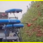 Штучний інтелект уже збирає врожай за допомогою дронів. Роботи, що літають, використовуючи комп'ютерний зір, самостійно збирають стиглі фрукти