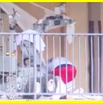 Робот-коп затримав небезпечного злочинця