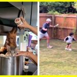 “They eat dogs and cats,” social media response to Trump with memes to his claim that immigrants from Haiti are kidnapping and eating pets in Springfield