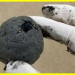 В Австралії терміново закрили міський пляж