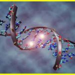 Вдалося розшифрувати ДНК, яким більше 10 000 років