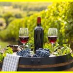 French wine by the 2024 vintage will be in short supply