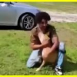 Собака, яка загубилася, знайшлася через два роки