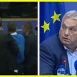 Hungarian Prime Minister Orban was attempted to be attacked during a press conference