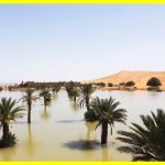 Злива затопила пустелю Сахару