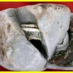 Трансформатор, якому понад 20000 років