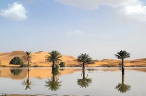 A downpour flooded the Sahara Desert