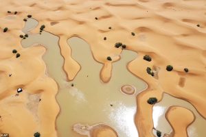 A downpour flooded the Sahara Desert