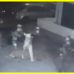 IDF special forces capture senior Hezbollah commander