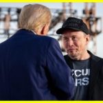 Маск не отримає посади в адміністрації Трампа