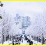 В Сеулі найсильніший снігопад за 100 років
