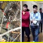 More than 100 wounded DPRK soldiers were taken to a Russian hospital. HIMARS cluster munitions hit North Korean special forces. It is known about 50 dead