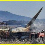 Жахлива авіакатастрофа в Південній Кореї