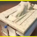 Розумне ліжко, яке захищає від землетрусів