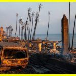 Лісові пожежі знищили будинки голлівудських зірок