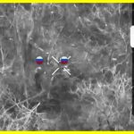 The Russians have begun to mutilate themselves in order not to go into battle