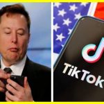 Китай обговорює продаж TikTok Ілону Маску