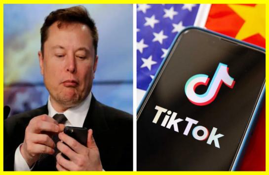 Китай обговорює продаж TikTok Ілону Маску