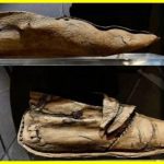 Складається враження, що це старе взуття було викинуто на смітник лише напередодні. Однак це не так, цьому взуттю понад тисячу років