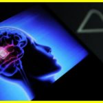 Scientists will test a new brain implant
