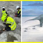 В Англії виявлено сліди тварин, яким 166 мільйонів років. У кар'єрі на півдні Англії виявлено найбільшу доріжку слідів динозаврів