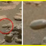 A UFO or just a Martian rock?