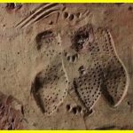 Стародавня плитка зі слідами, залишеними на віки