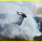 У Південній Кореї спалахнули масштабні лісові пожежі