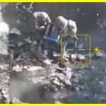 The Ukrainian military threw beehives with bees at the Russians. They used an unconventional approach to combat after they ran out of grenades.