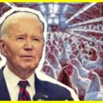 У Трампа звинуватили Байдена у вбивстві мільйонів курей